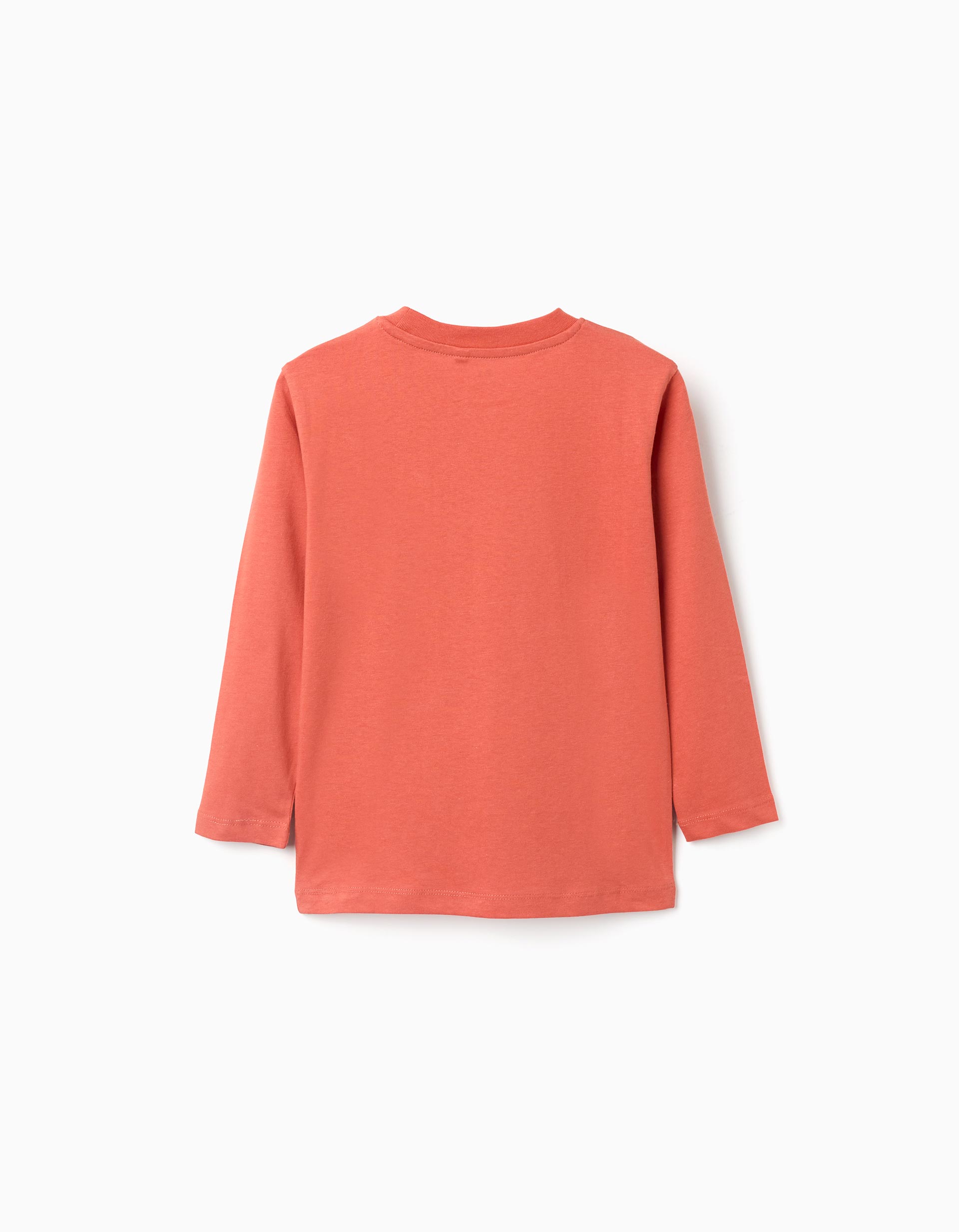 Second image of Βαμβακερό μπλουζάκι με μακριά μανίκια και στάμπα